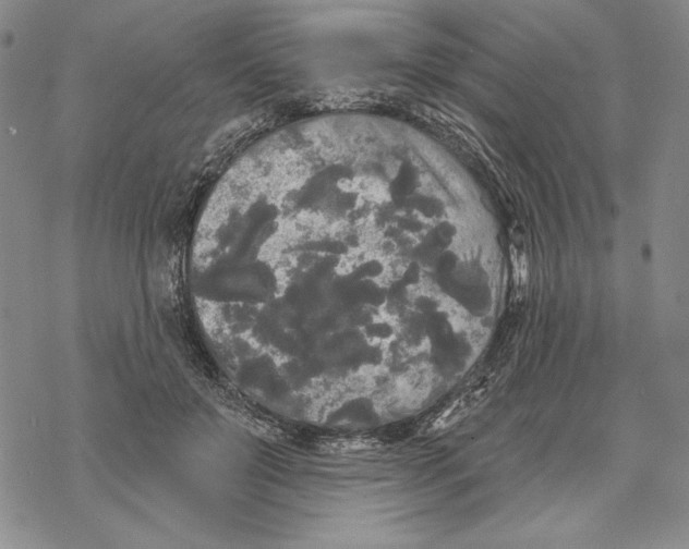 X0000068770503200605191651