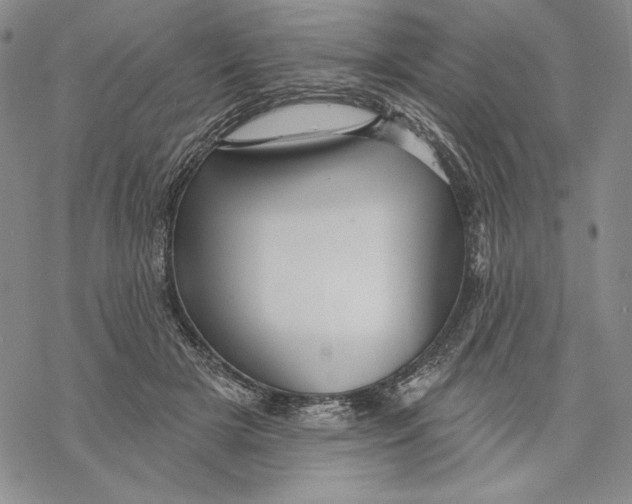 X0000068770505200605191651