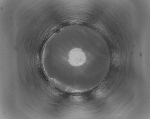 X0000068770506200605191651