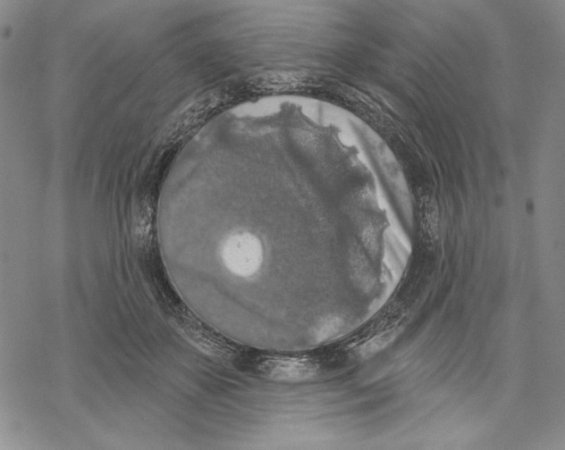 X0000068770507200605191651