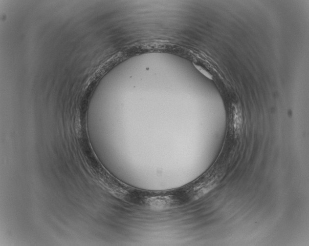 X0000068770508200605191651