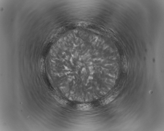 X0000068770511200605191651