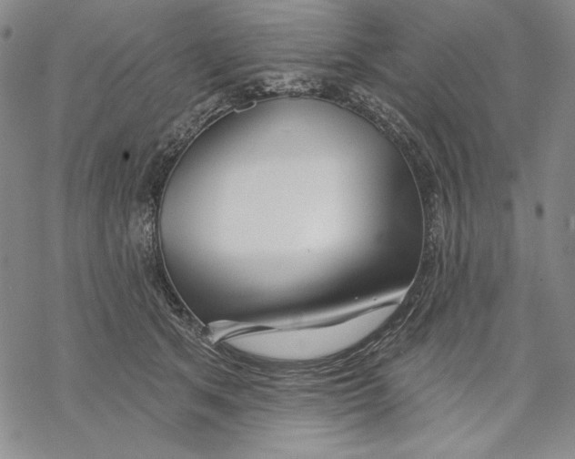 X0000068770513200605191651