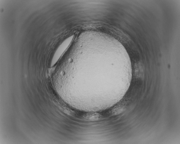 X0000068770514200605191651