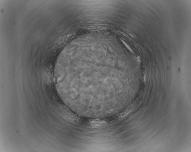 X0000068770515200605191651