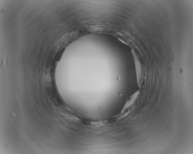 X0000068770516200605191651