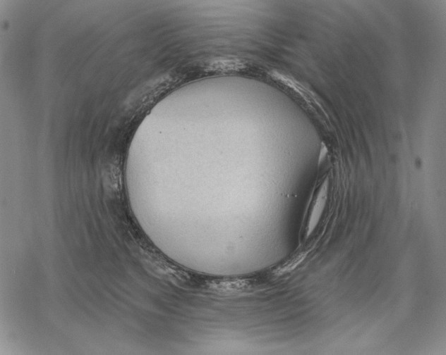 X0000068770517200605191651