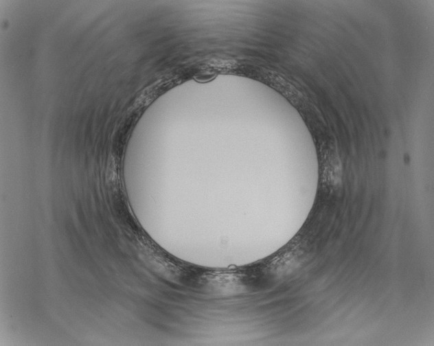 X0000068770518200605191651