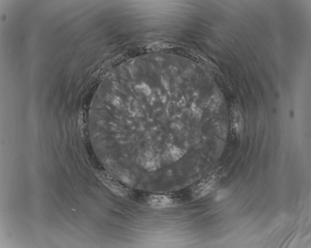 X0000068770519200605191651