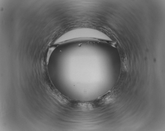 X0000068770520200605191651