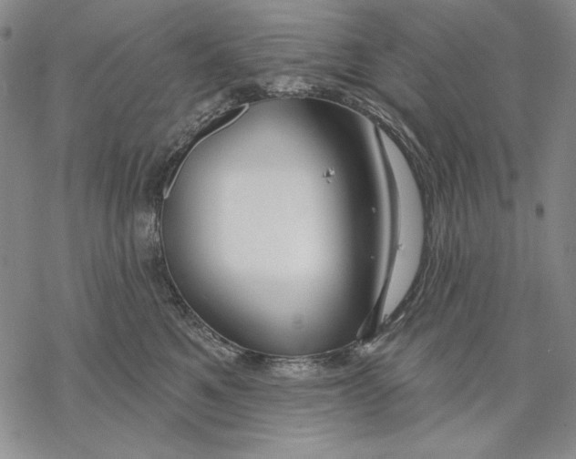 X0000068770521200605191651