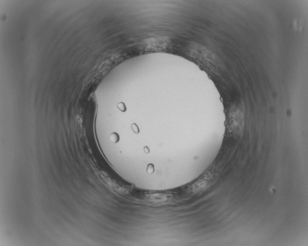 X0000068770522200605191651