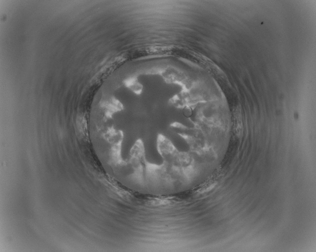 X0000068770523200605191651