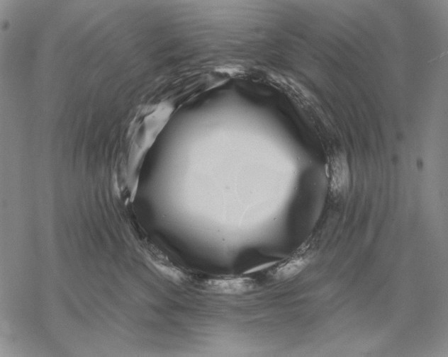 X0000068770524200605191651