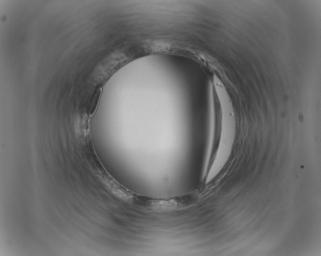 X0000068770525200605191651