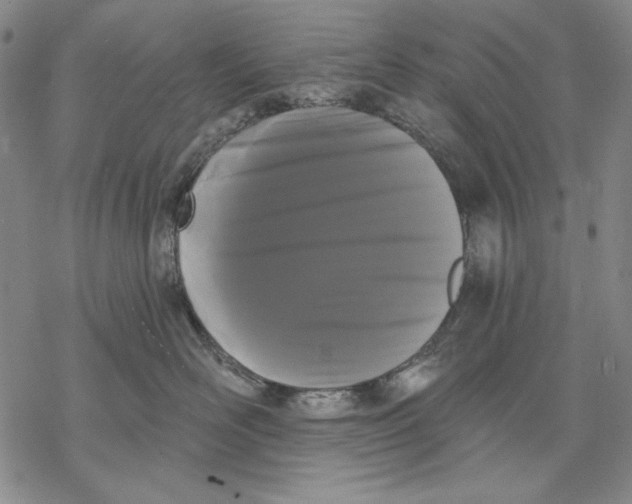 X0000068770526200605191651