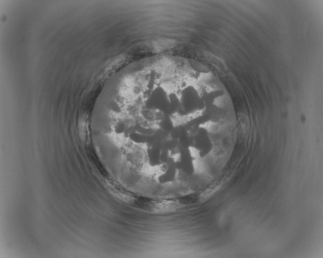 X0000068770527200605191651