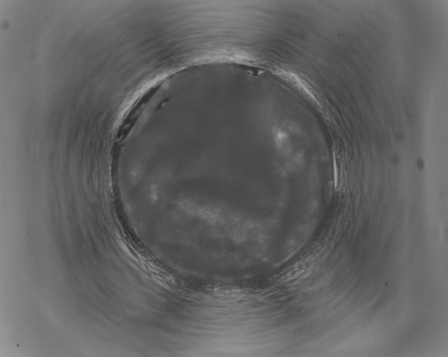 X0000068770531200605191650