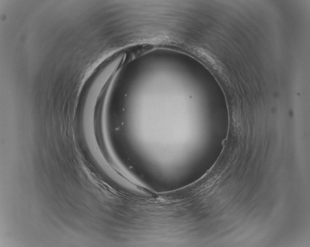 X0000068770532200605191650