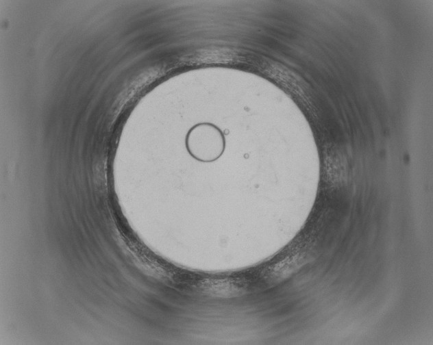 X0000068770534200605191650