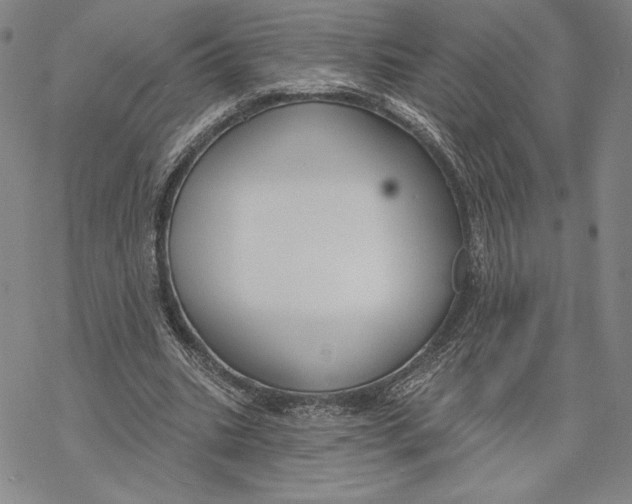 X0000068770535200605191650