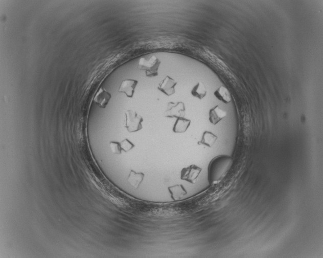 X0000068770537200605191650