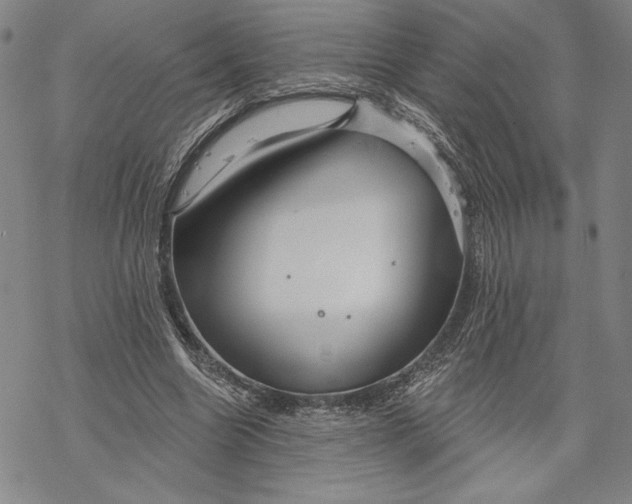 X0000068770538200605191650