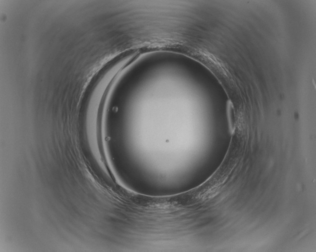 X0000068770540200605191650