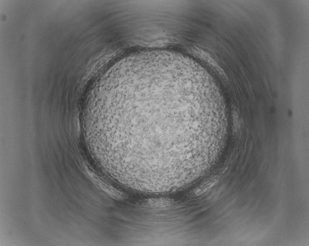 X0000068770541200605191650