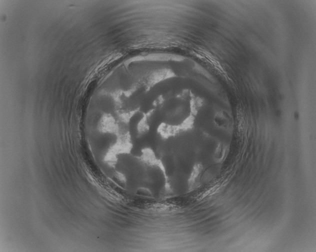 X0000068770542200605191650