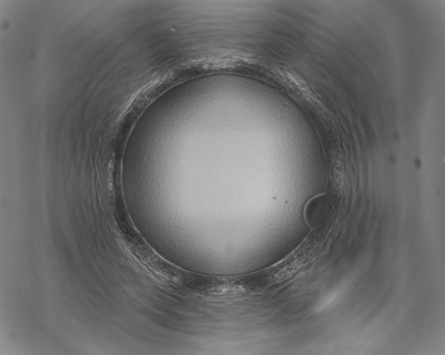 X0000068770543200605191651