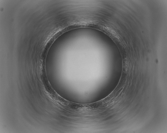 X0000068770544200605191651