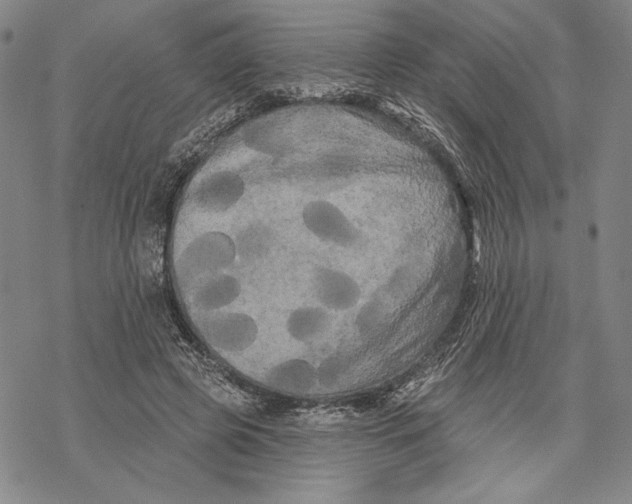 X0000068770545200605191651