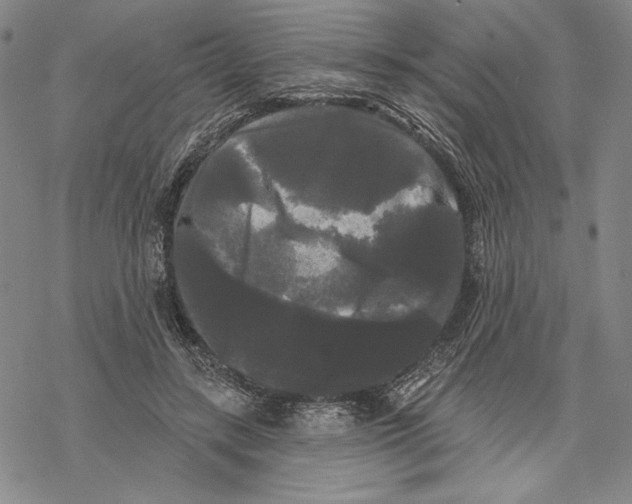 X0000068770547200605191651