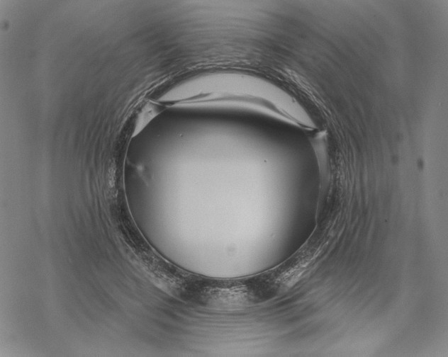 X0000068770548200605191651