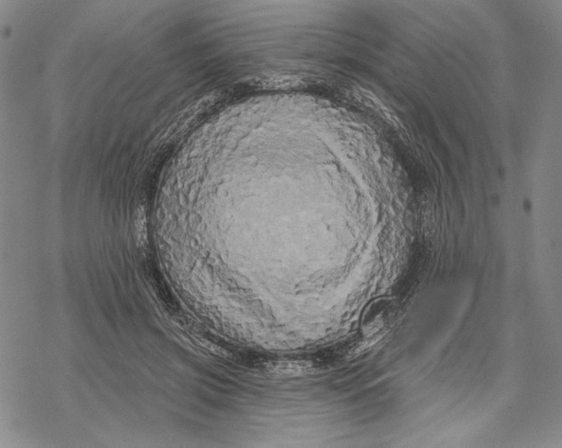 X0000068770549200605191651