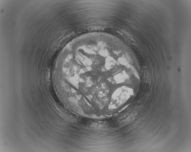 X0000068770550200605191651