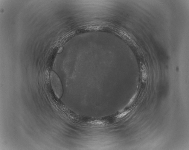 X0000068770551200605191651