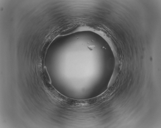 X0000068770552200605191651