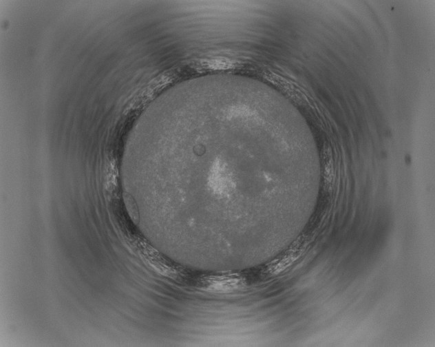 X0000068770555200605191651