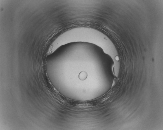 X0000068770556200605191651