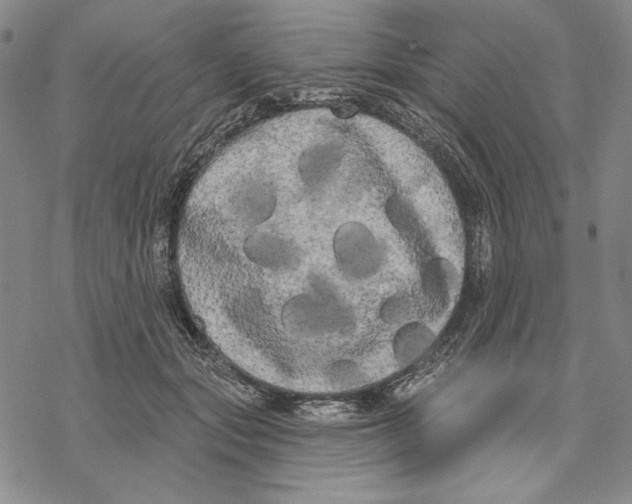 X0000068770557200605191651