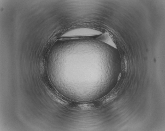 X0000068770558200605191651