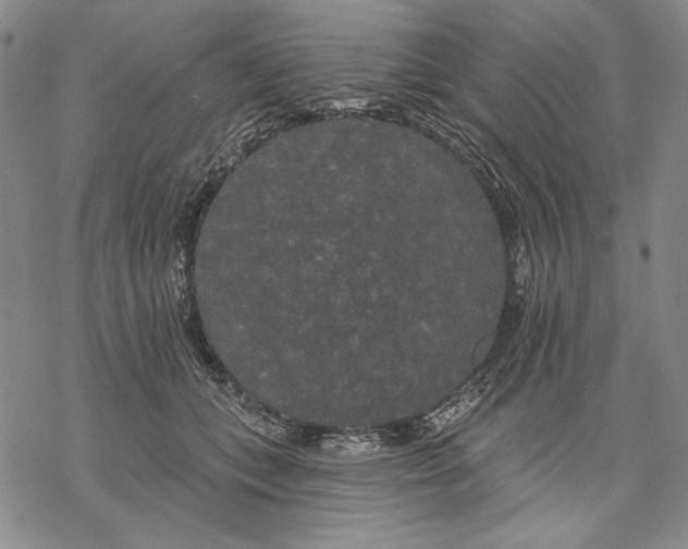 X0000068770559200605191651