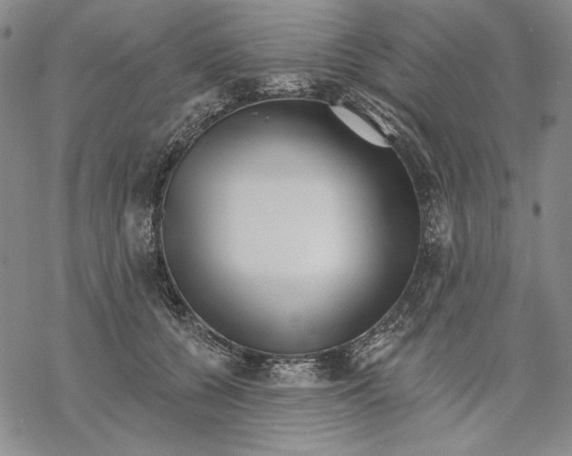 X0000068770560200605191651