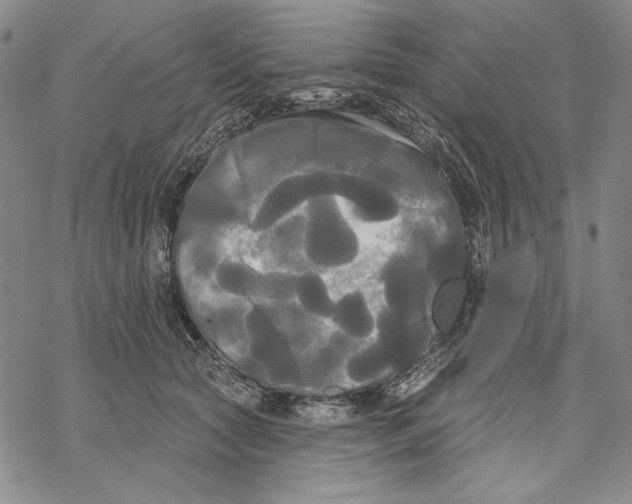 X0000068770561200605191651