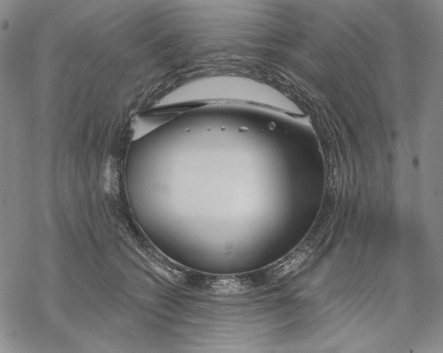 X0000068770562200605191651