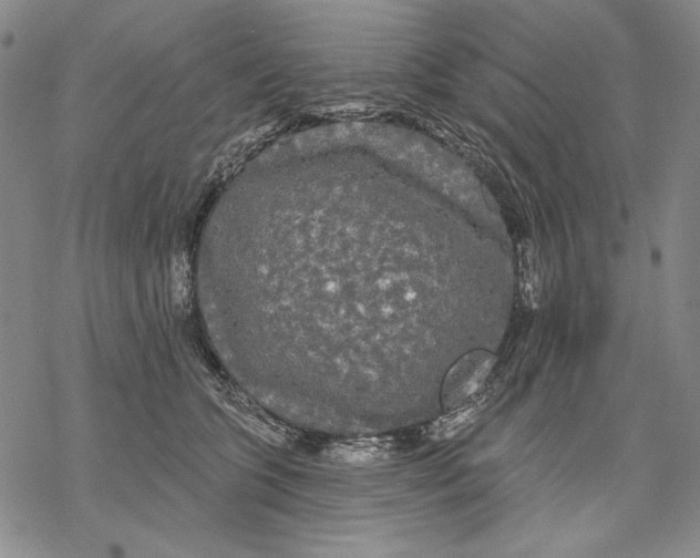 X0000068770563200605191651