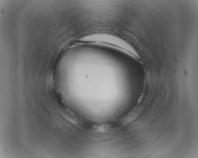 X0000068770564200605191651