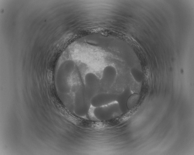 X0000068770565200605191651